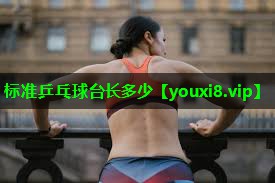 标准乒乓球台长多少