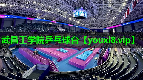 武昌工学院乒乓球台