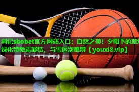 利记sbobet官方网站入口：自然之美！夕阳下的草坪绿化带微霜凝结，与雪区别难辨
