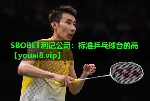SBOBET利记公司：标准乒乓球台的高