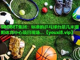 SBOBET集团：标准的乒乓球台是几米潮阳体育中心项目现场…