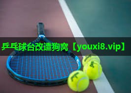 乒乓球台改造狗窝