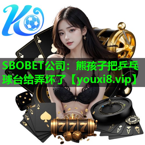 熊孩子把乒乓球台给弄坏了 熊孩子把乒乓球台给弄坏了