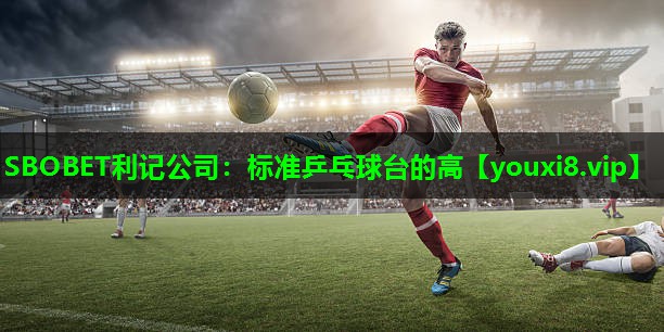 标准乒乓球台的高 标准乒乓球台的高