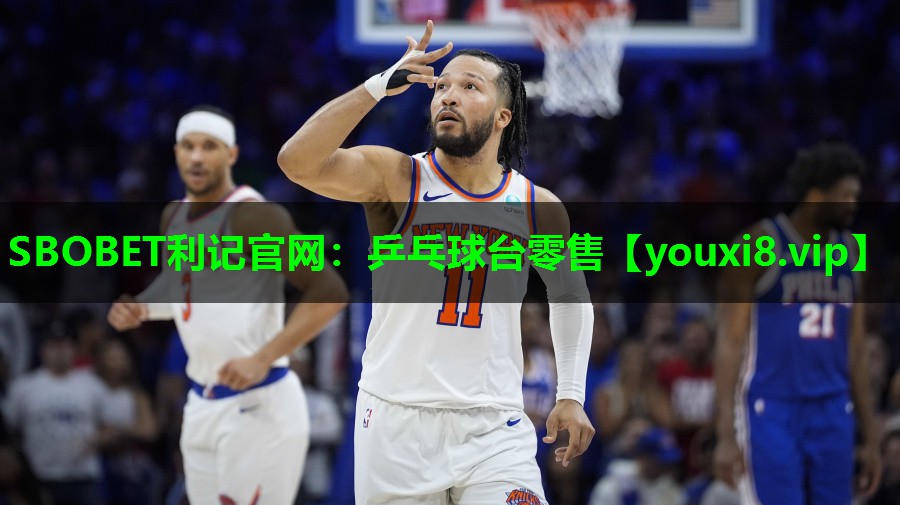 乒乓球台零售 乒乓球台零售