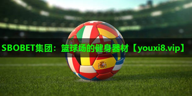 篮球场的健身器材 篮球场的健身器材